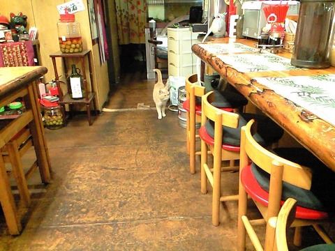 王子登場
