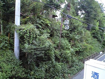 成田の朝
