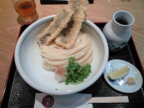 器大きい