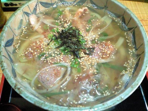 澄んだ色に鴨が映える
