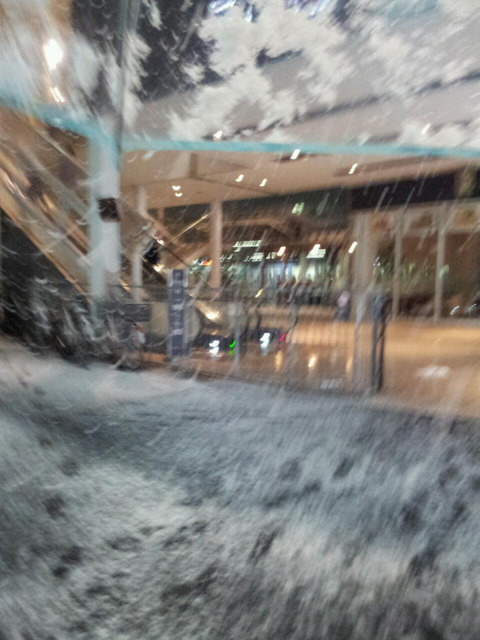 雪だー！つって写真撮った瞬間コケた。この躍動感、おわかりいただけるだろうか。 