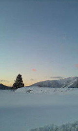 82f379c6.jpg