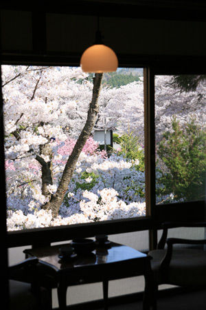 hanaya_hanamiroom