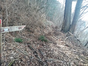 20160316_151334