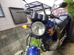 P1050960