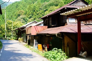 DSC07956
