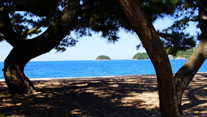 DSC06170