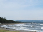 IMG_0186