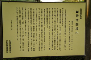 DSC00649