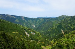 DSC08385