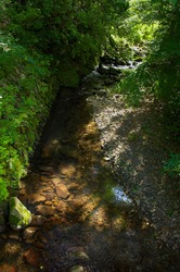 2015-06-28 048