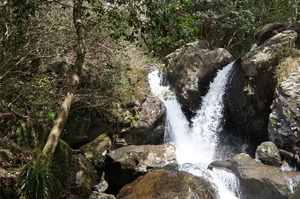 DSC02853