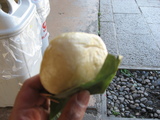 おやき