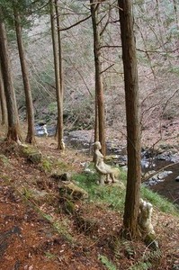 DSC08091
