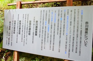 DSC09368
