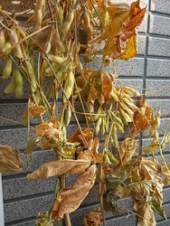 20151024_082313