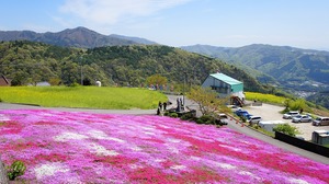 DSC08300