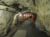 IMG_0174