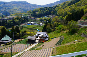 DSC06067
