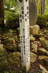 DSC00647