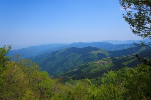 DSC08426