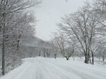 IMG_0457