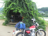 野菜直売所