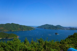 DSC08458