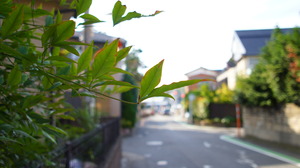 DSC03716