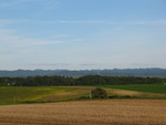 IMG_1571