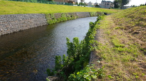 DSC03711