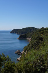 DSC06711