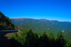 DSC09464