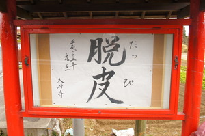 DSC05781