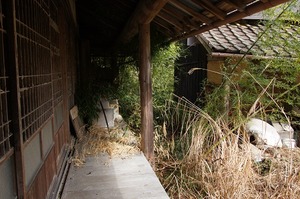 DSC08094