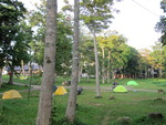IMG_1354