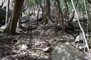 DSC02854
