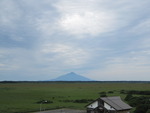 IMG_1516