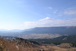 DSC_2554
