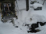 目覚めの水