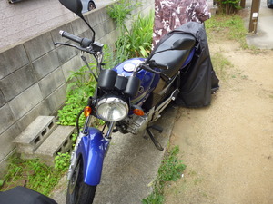 P1050949