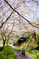 DSC05846