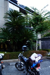 DSC09497