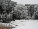 雪景色