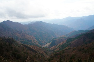 DSC09716