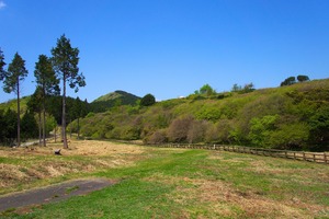 DSC08420