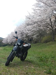 20170412_135412