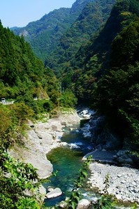 DSC07947