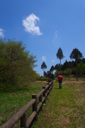 DSC08417