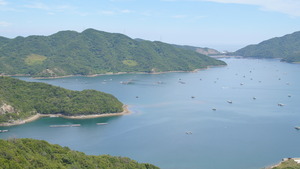 DSC06339